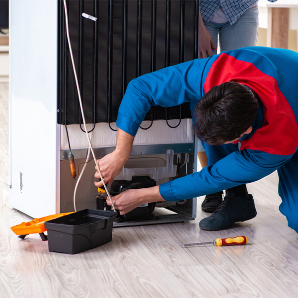 how do you diagnose a problem with a refrigerator in Cypress Lake